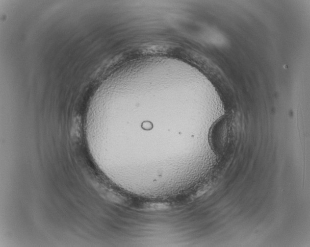 X0000079290649200612081820