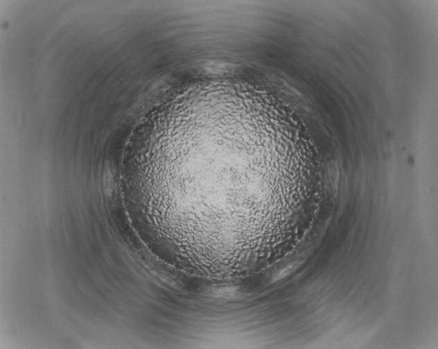 X0000079290651200612081820