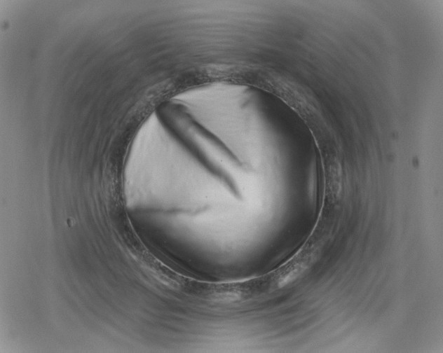 X0000079290653200612081820