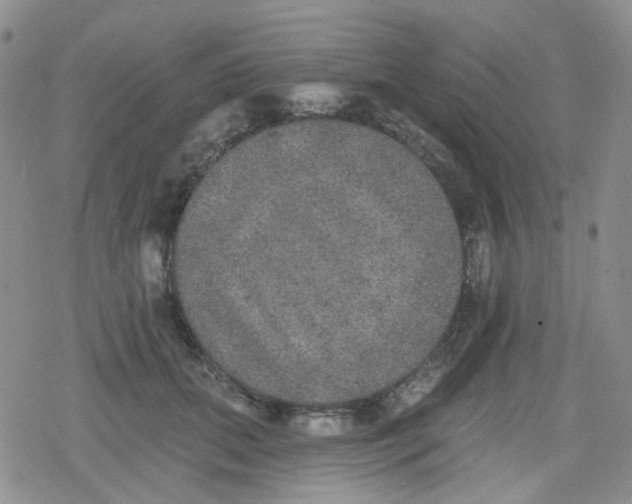 X0000079290655200612081820