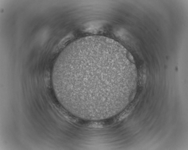 X0000079290656200612081820