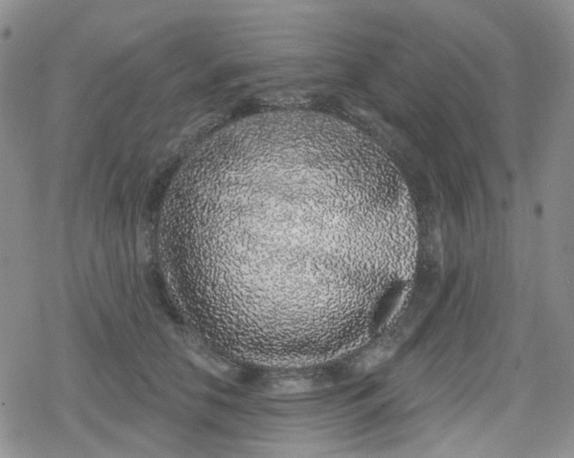 X0000079290658200612081820