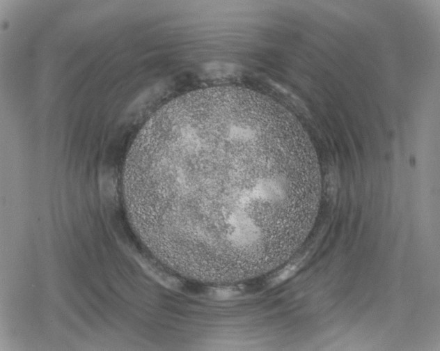 X0000079290662200612081820