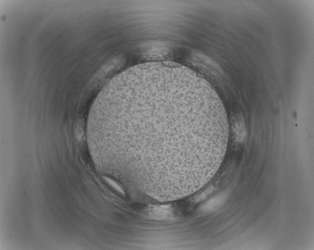 X0000079290665200612081820