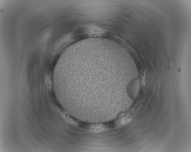 X0000079290666200612081820