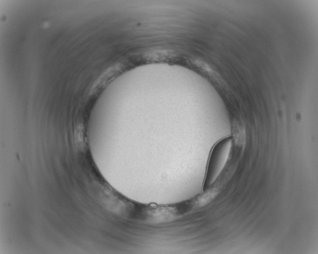 X0000079290670200612081820