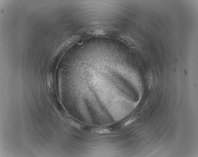 X0000079290747200612081818