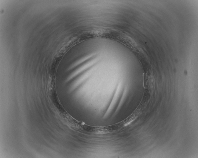 X0000079290750200612081818