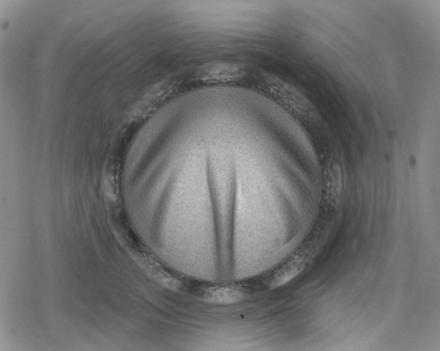X0000079290755200612081818