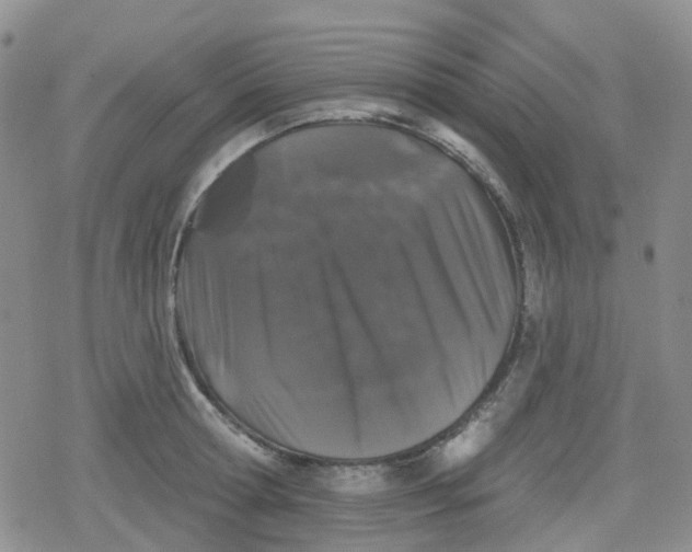 X0000079290802200612081817