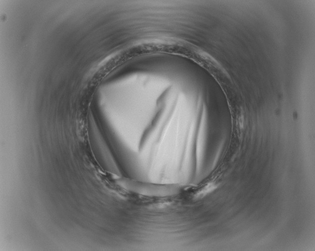 X0000079290822200612081816