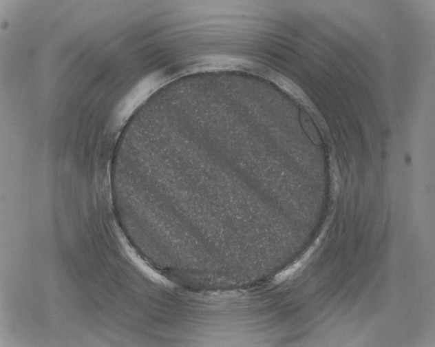 X0000079290842200612081817