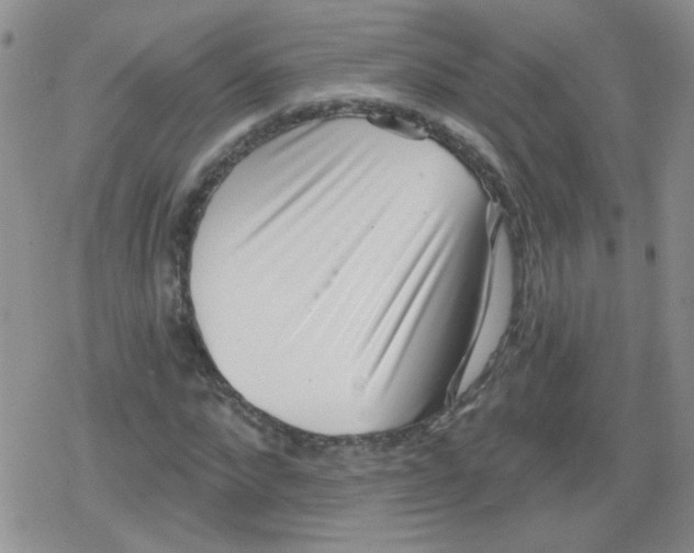 X0000079290872200612081816