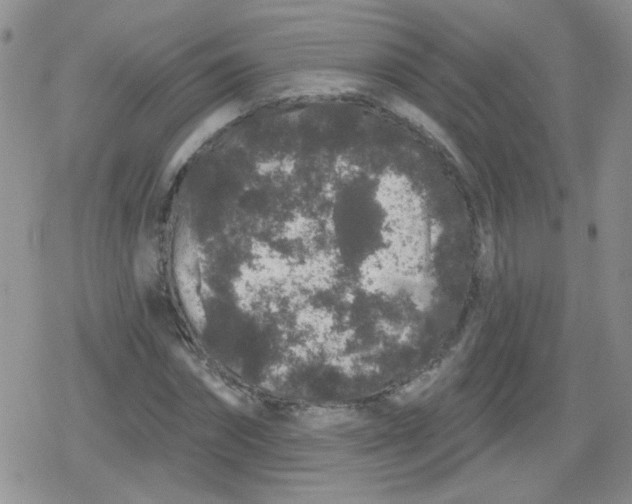 X0000079290874200612081816