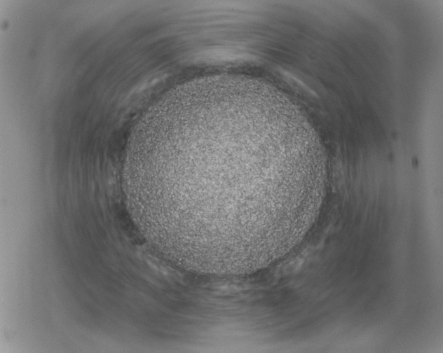 X0000079290917200612081815