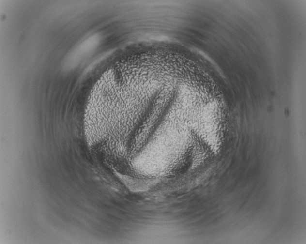 X0000079290919200612081815