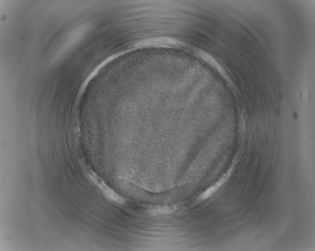 X0000079290923200612081815