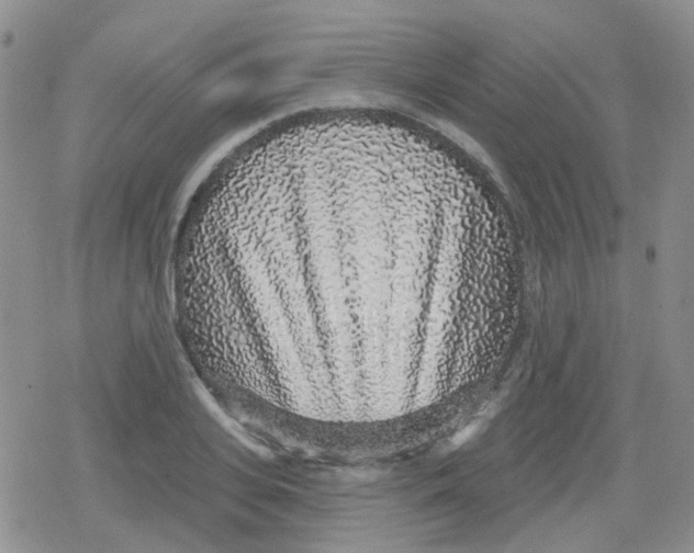 X0000079290935200612081815