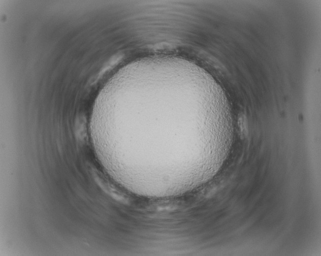 X0000079290963200612081815