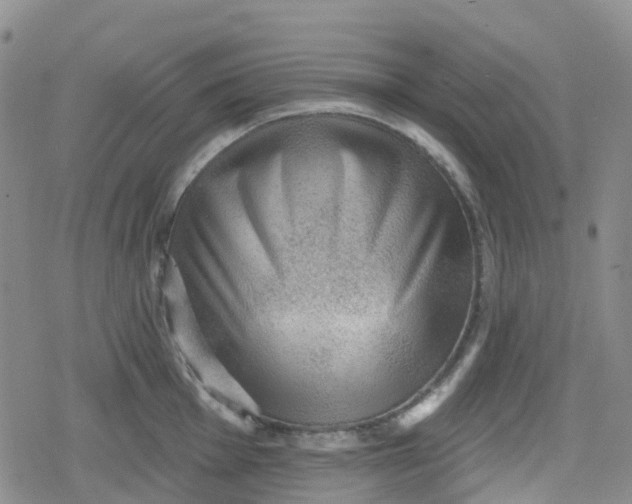 X0000079291001200612081814