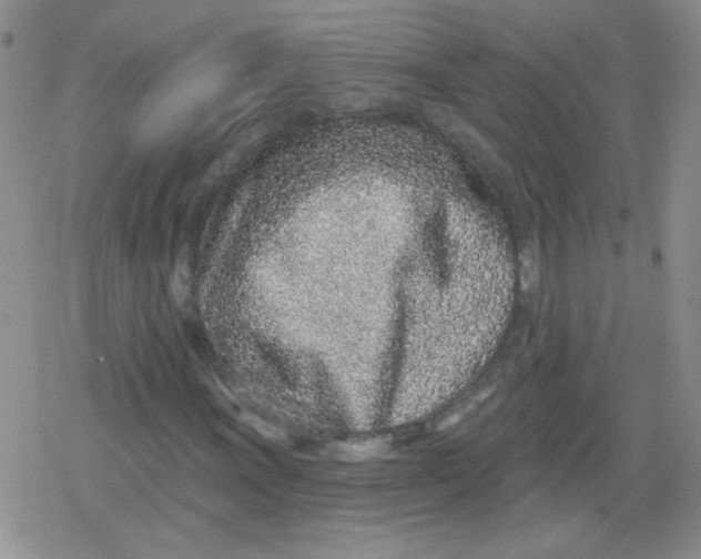 X0000079291011200612081813