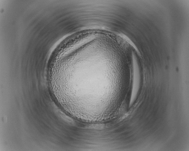 X0000079291068200612081813