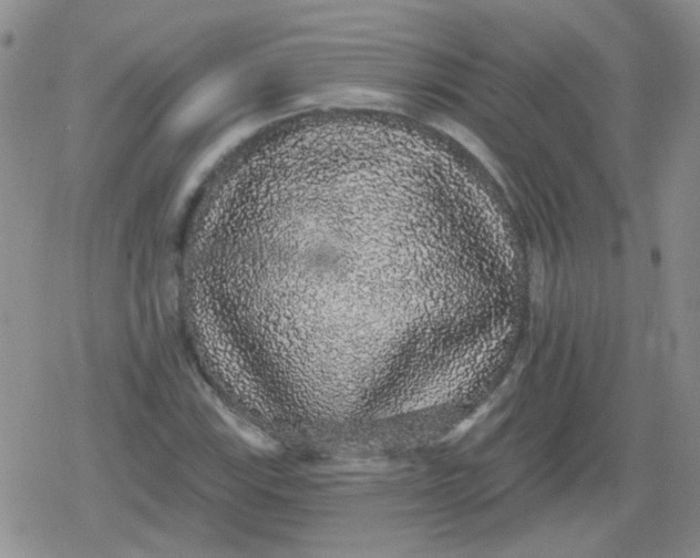 X0000079291115200612081812