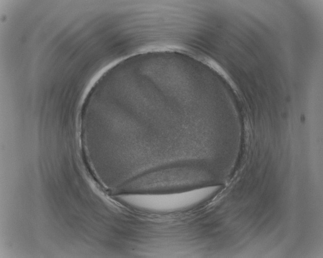 X0000079291124200612081812