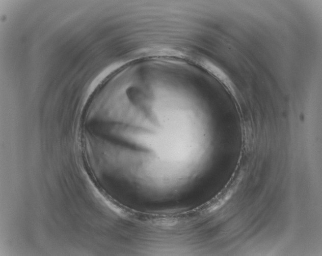 X0000079291141200612081812