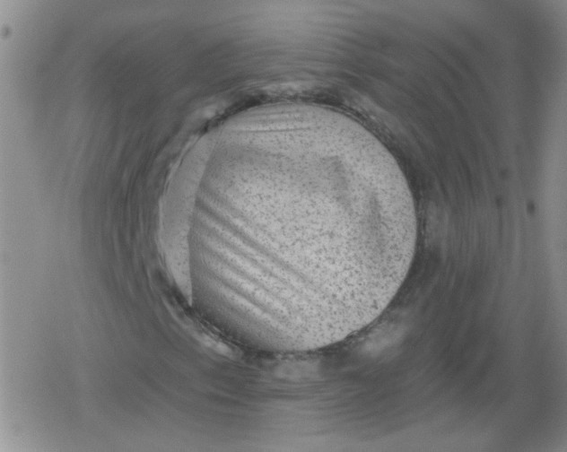 X0000079291153200612081812
