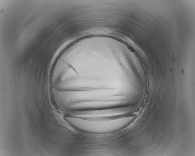 X0000079291240200612081811