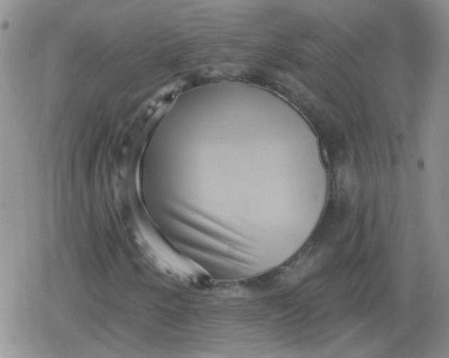 X0000079291250200612081810