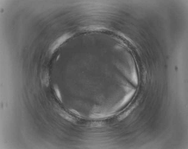 X0000079291306200612081809