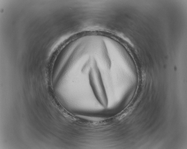 X0000079291311200612081809