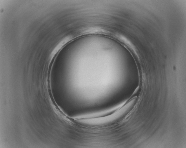 X0000079291330200612081809