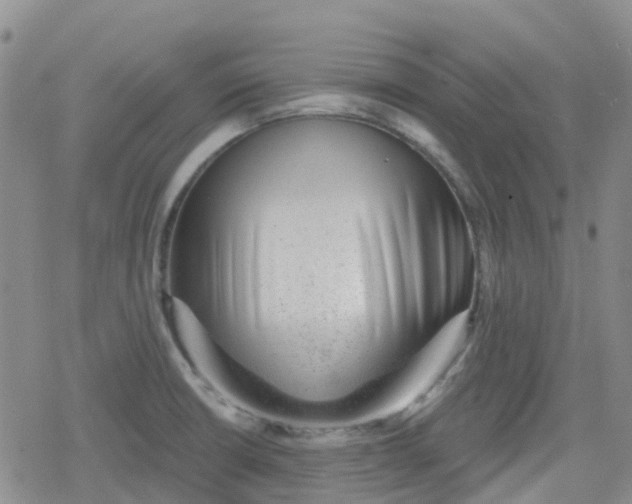 X0000079291426200612081807
