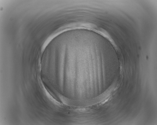 X0000079291524200612081806