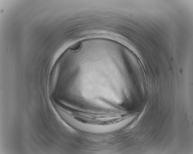 X0000079291533200612081806