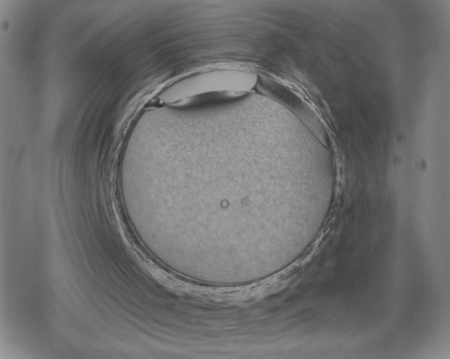 X0000079290001200612151714