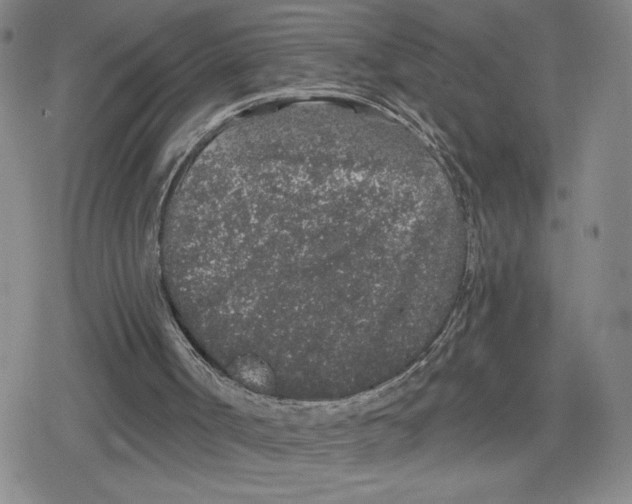 X0000079290002200612151714