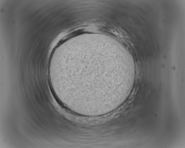 X0000079290003200612151714