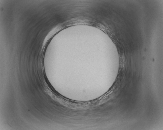 X0000079290004200612151714