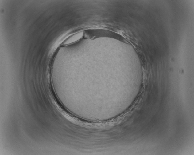 X0000079290005200612151713