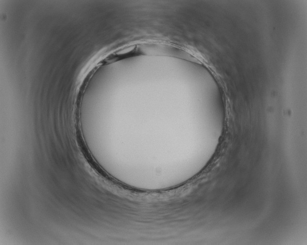 X0000079290007200612151713