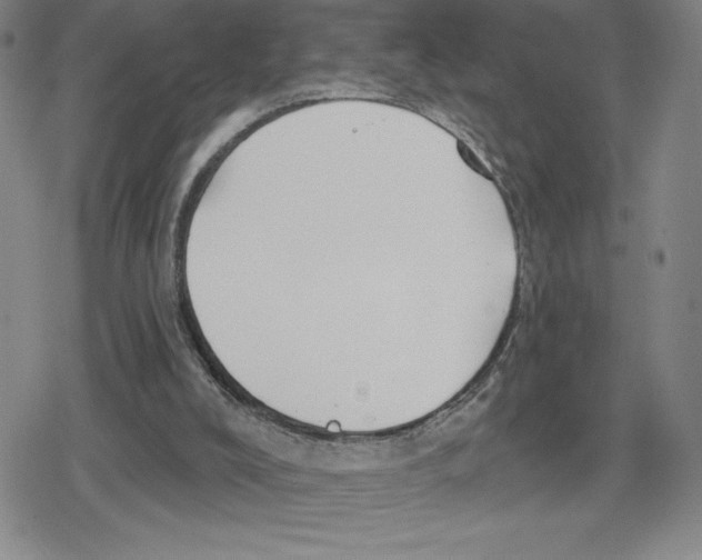 X0000079290008200612151713