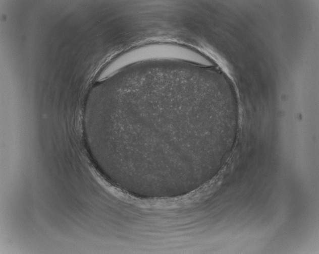 X0000079290009200612151713