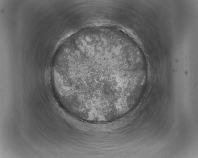 X0000079290010200612151713