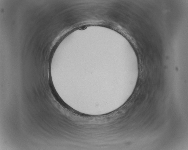 X0000079290011200612151713