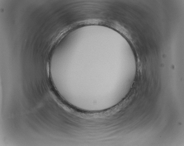 X0000079290013200612151713