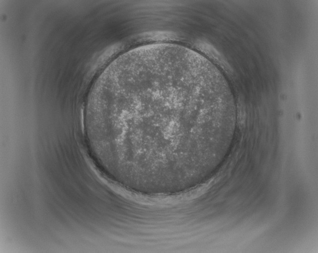 X0000079290014200612151713